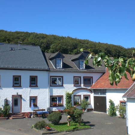 Ferienhof An Der Lay Kerpen  Eksteriør bilde