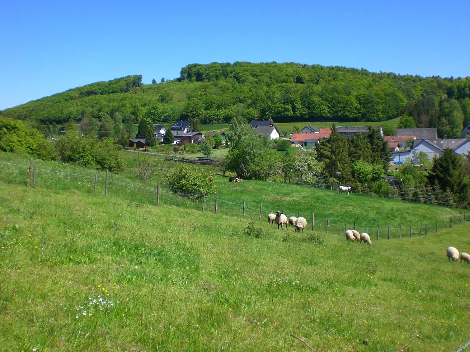 Ferienhof An Der Lay Kerpen  Eksteriør bilde