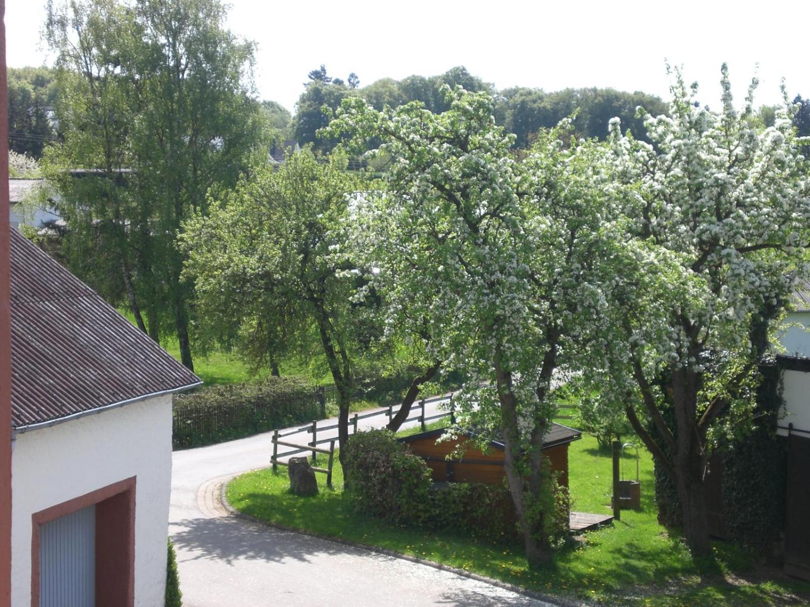 Ferienhof An Der Lay Kerpen  Eksteriør bilde