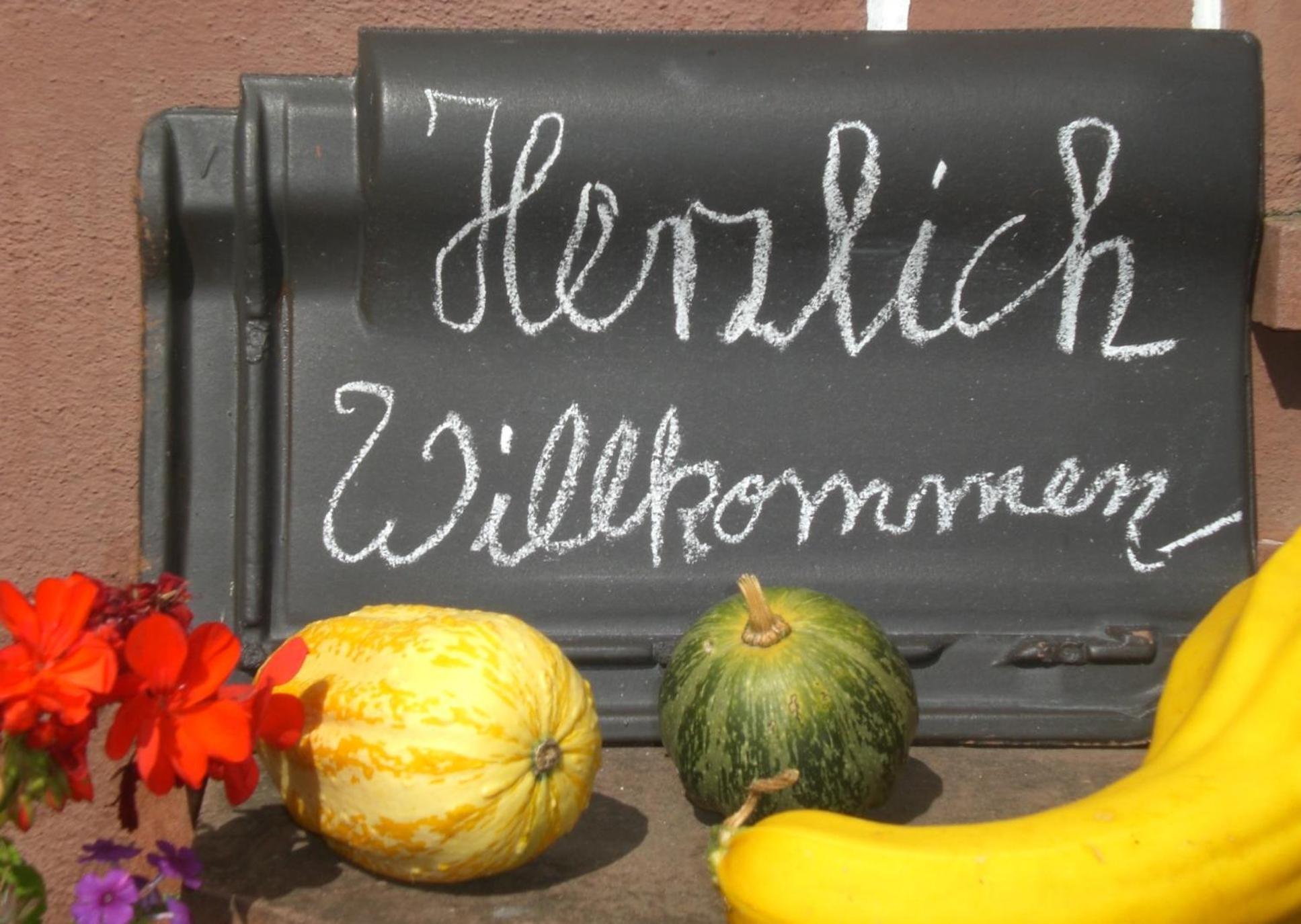Ferienhof An Der Lay Kerpen  Eksteriør bilde
